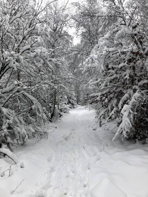 Appartamento Sauerlandblick Altena Esterno foto