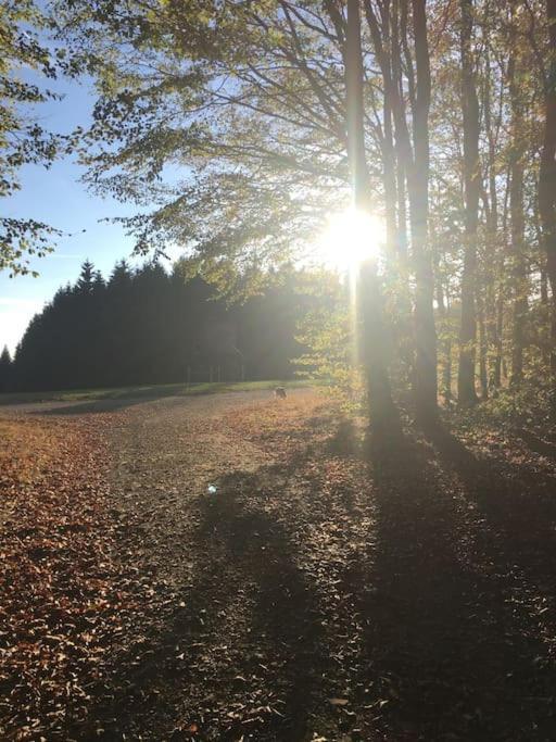 Appartamento Sauerlandblick Altena Esterno foto